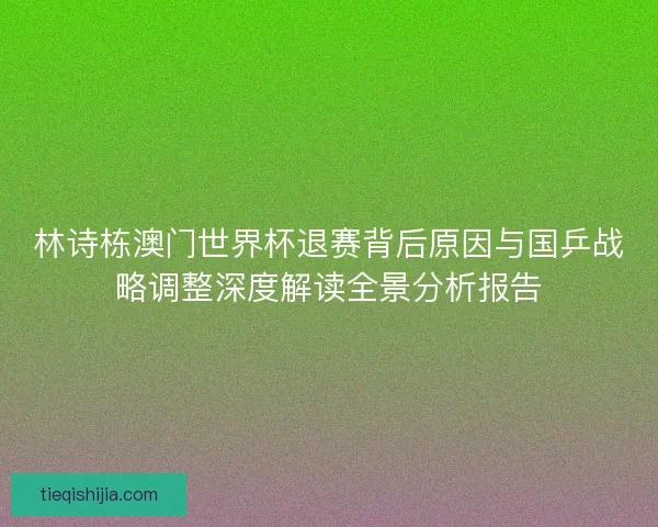 林诗栋澳门世界杯退赛背后原因与国乒战略调整深度解读全景分析报告